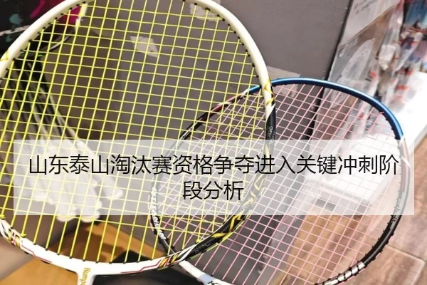 shan-dong-tai-shan-tao-tai-sai-zi-ge-zheng-duo-jin-ru-guan-jian-chong-ci-jie-duan-fen-xi-1-326.jpg